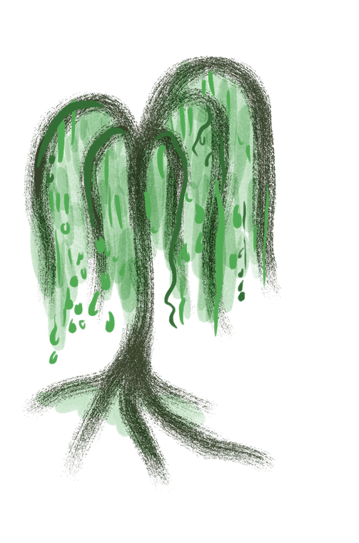 A painted willow.