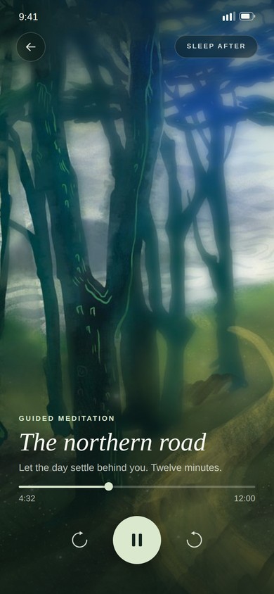 Passage 2026, meditation screen