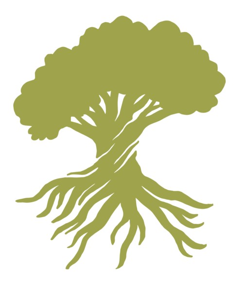 The refreshed Chaney mark: an oak drawn in olive green with a full canopy above and an equally large root system below.