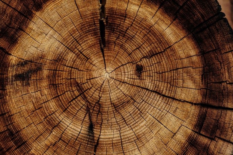 Growth rings