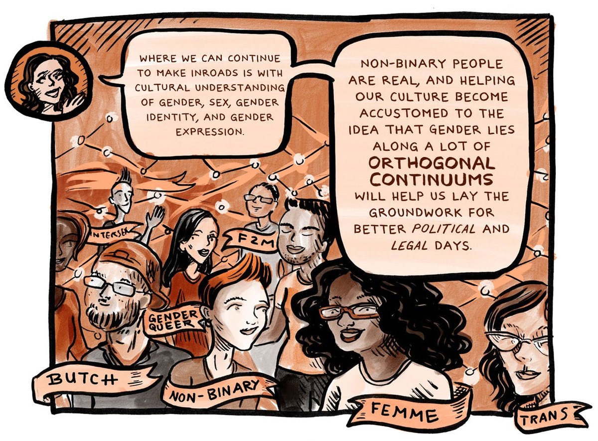 A panel drawn in oranges: a crowd of drawn faces labelled intersex, F2M, genderqueer, butch, non-binary, femme and trans, beneath narration reading where we can continue to make inroads is with cultural understanding of gender, sex, gender identity and gender expression, and non-binary people are real.